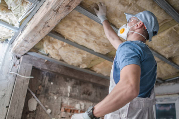 Types of Insulation We Offer in Half Moon, NC